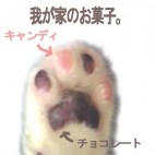 緑野こあら